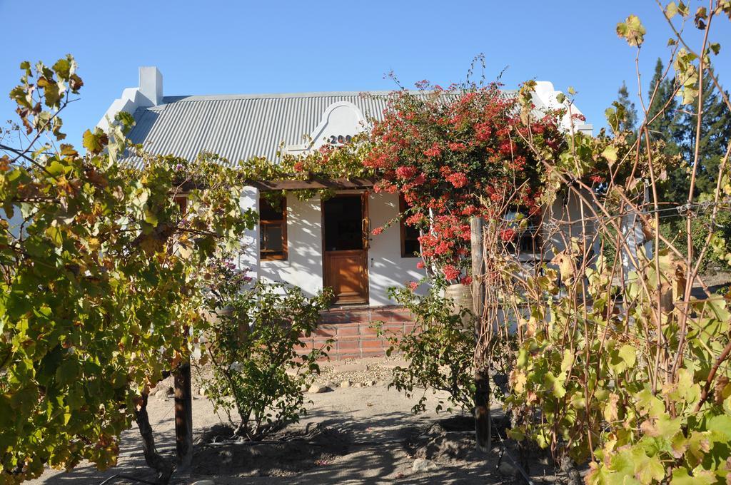 Dunstone Country House Ουέλλινγκτον Εξωτερικό φωτογραφία