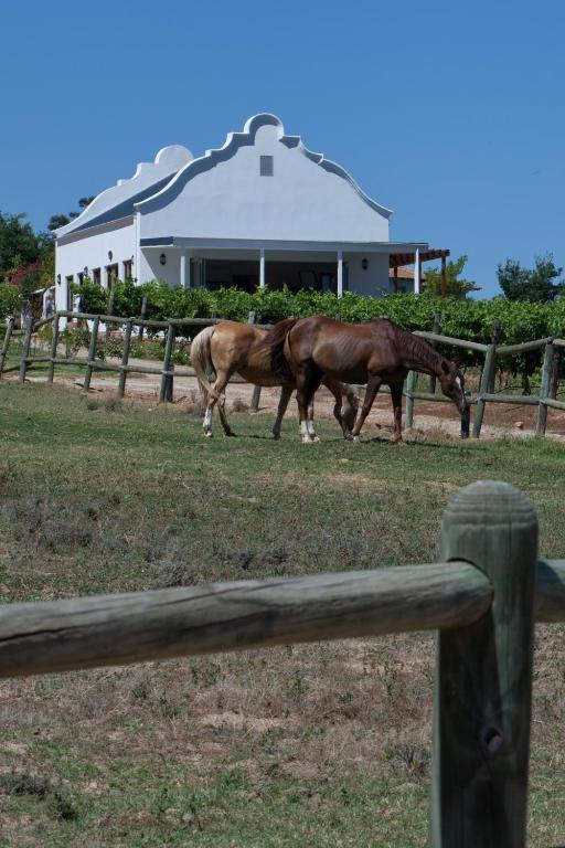 Dunstone Country House Ουέλλινγκτον Εξωτερικό φωτογραφία