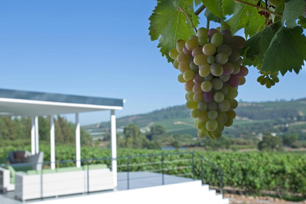 Dunstone Country House Ουέλλινγκτον Εξωτερικό φωτογραφία